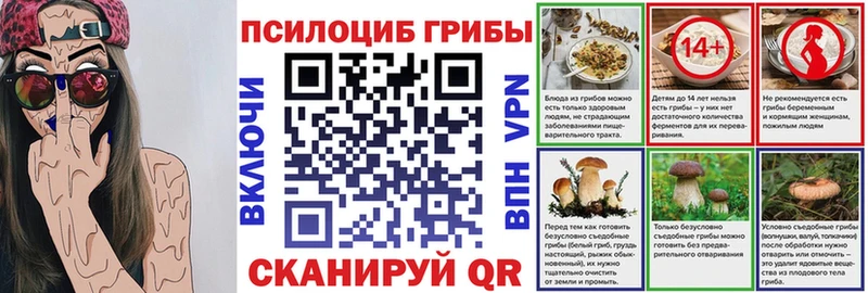 Галлюциногенные грибы Psilocybine cubensis  Купить закладки  Кудымкар 