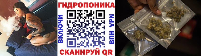 Конопля индика Кудымкар